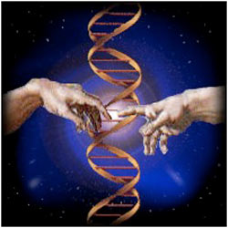 tpesciencesetreligion
